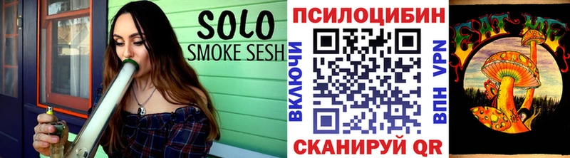 Купить где  Советская Гавань  Псилоцибиновые грибы GOLDEN TEACHER 